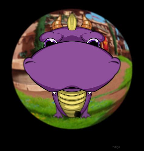 Top 10 fish eye lens meme ideas and inspiration .
